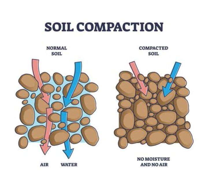How do you soften compacted soil?