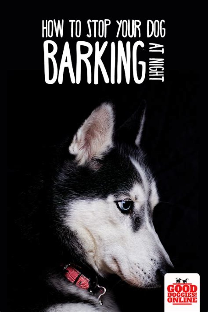 How do you stop your dog barking at night?