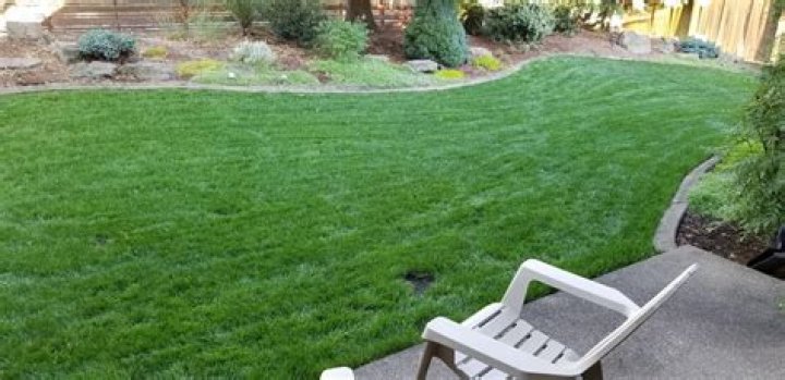 How do you take care of a newly seeded lawn?