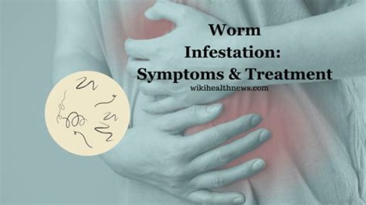 How do you tell if a worm is pregnant?