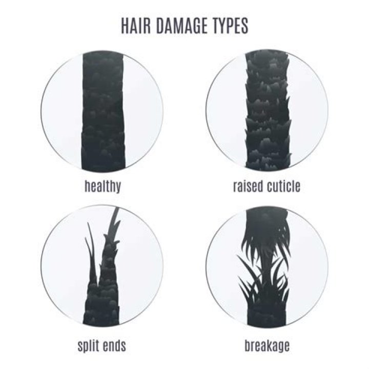 How do you tell your hair is damaged?
