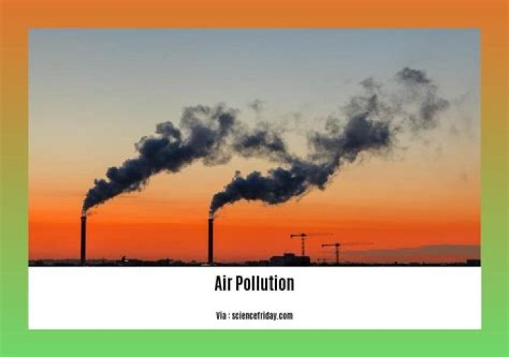 How does pollution affect animals and plants?