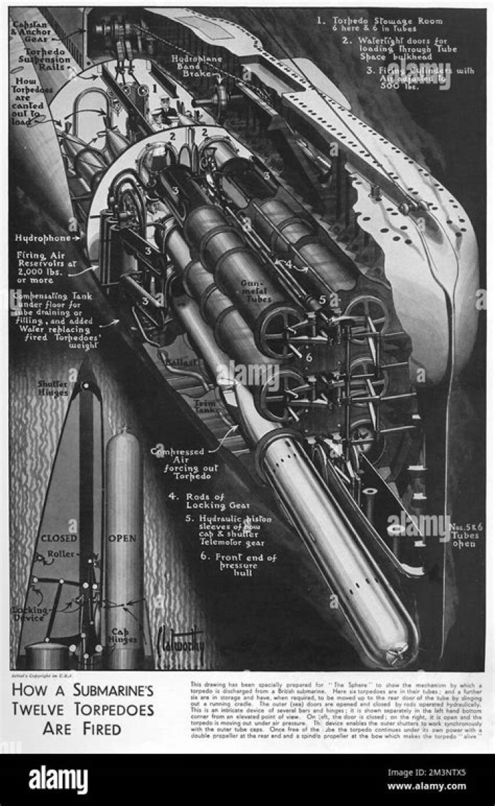 How fast did ww2 torpedoes travel?