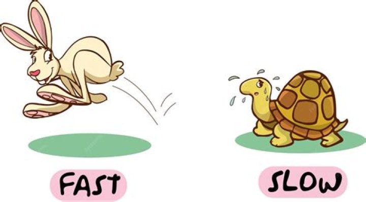 How fast is too fast dating?