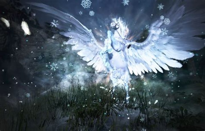 How hard is it to get hired at Tesla?