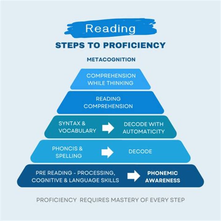 How is it important in understanding the reading process?