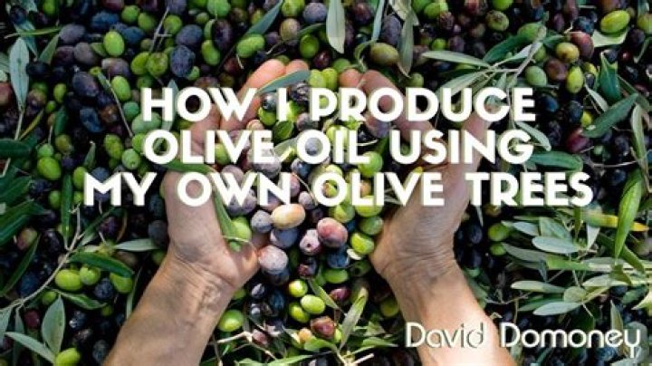 How long can I leave olive oil in my hair?