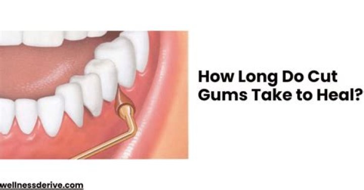 How long do gum cuts take to heal?