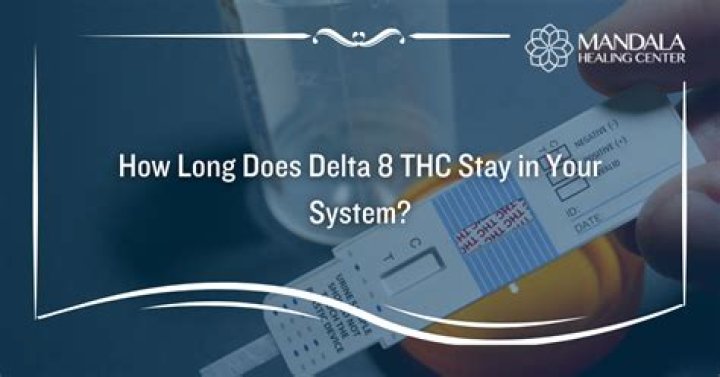How long does 12.5 mg of Delta 8 stay in your system?