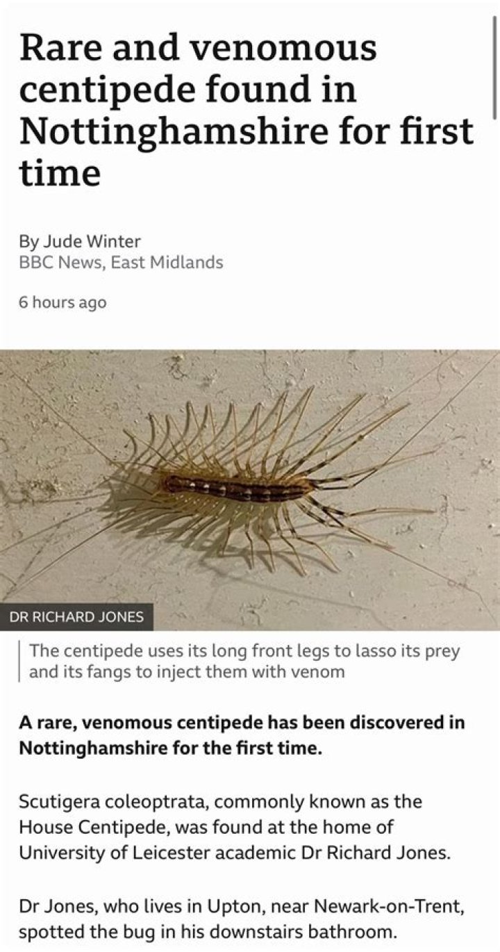 How long does a house centipede live?