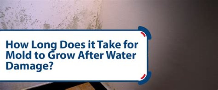 How long does it take for black mold to grow after water damage?