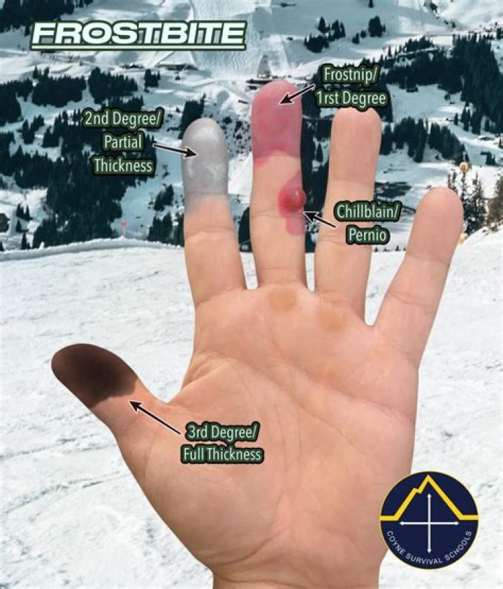 How long does it take to run fingerprints?