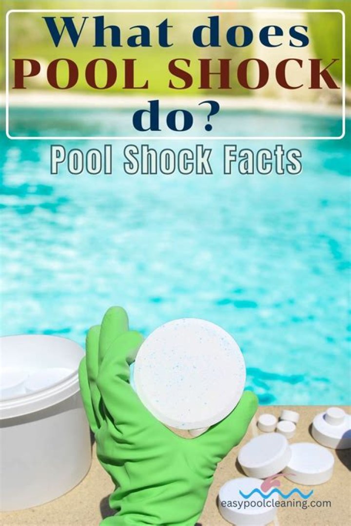 How long does pool shock take to work?