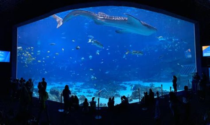How many Aquariums are in Georgia?