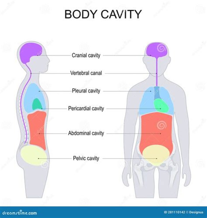 How many cavities is normal for a 12 year old?