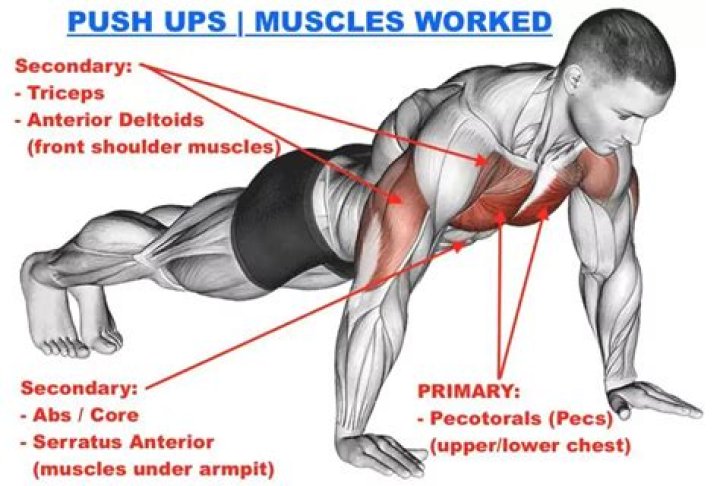 How many decline pushups is good?