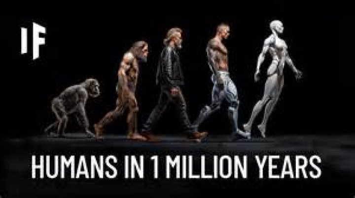 How many dimensions can humans see?