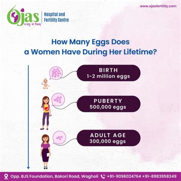 How many eggs does a woman have at 20?