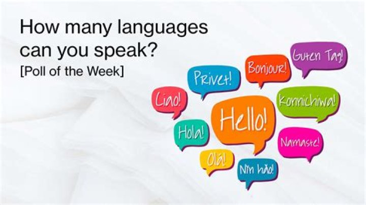How many languages does Anna Delvey speak?