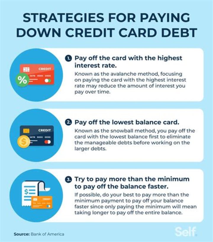 How many people don't pay off their credit cards?