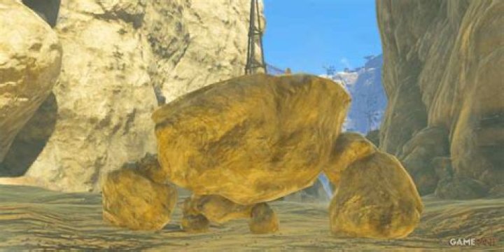 How many rare stone talus are there?