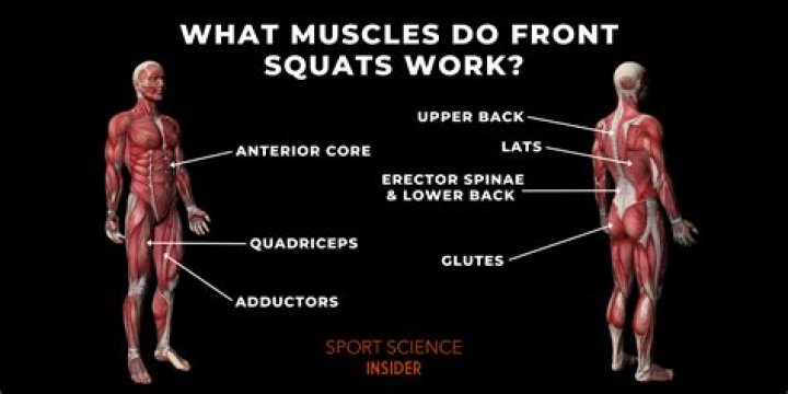 How many squats a day will make a difference?