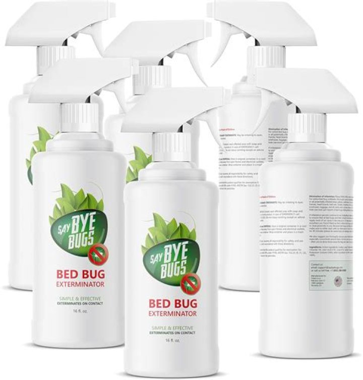 How many times do you have to spray for bed bugs?
