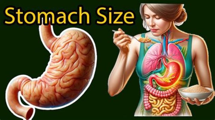How much can your stomach hold before it explodes?