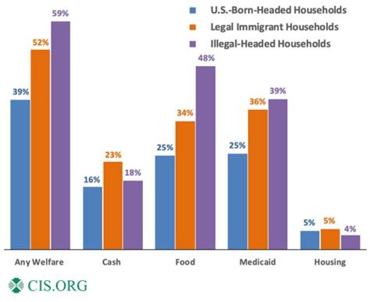 How much did Irish immigrants get paid?