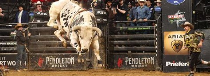 How much does a PBR bull rider make?