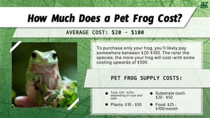 How much does a pet frog cost?