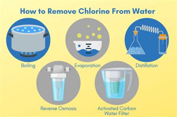 How much does it cost to chlorinate a well?