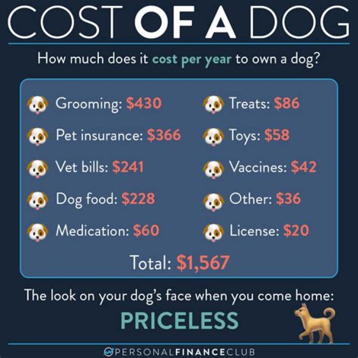 How much does it cost to get your dog tested for heartworm?