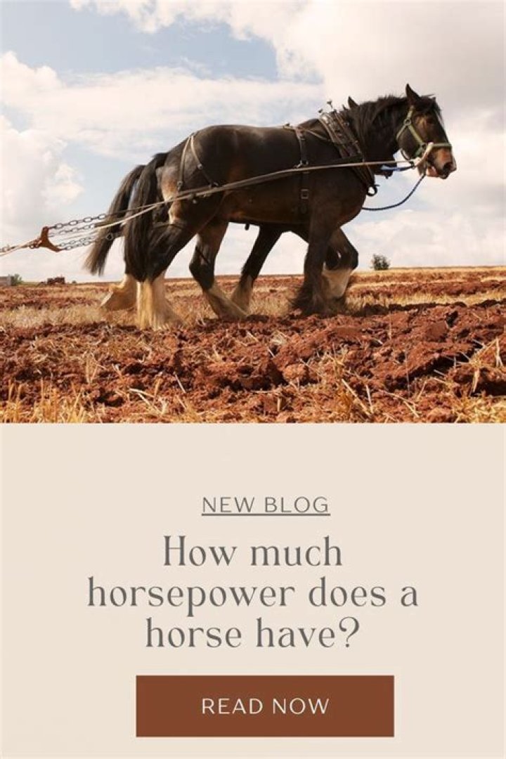 How much horsepower does it take to turn an alternator?