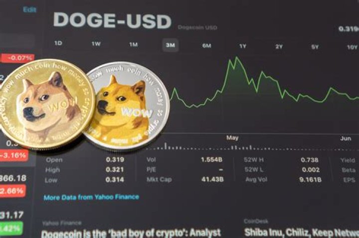 How much is a 1000 shares of Dogecoin worth?