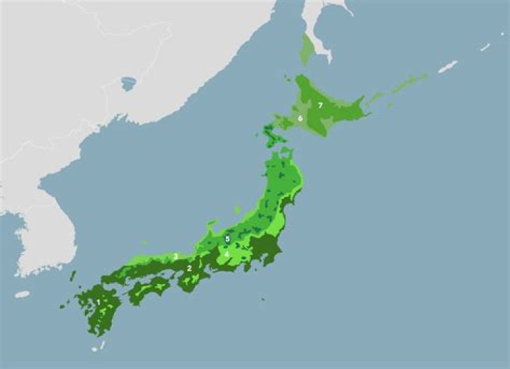 How much of Japan is forest?