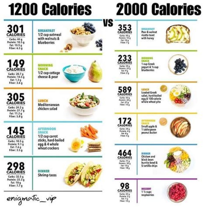 How much weight will I lose on 1200 calories a day?