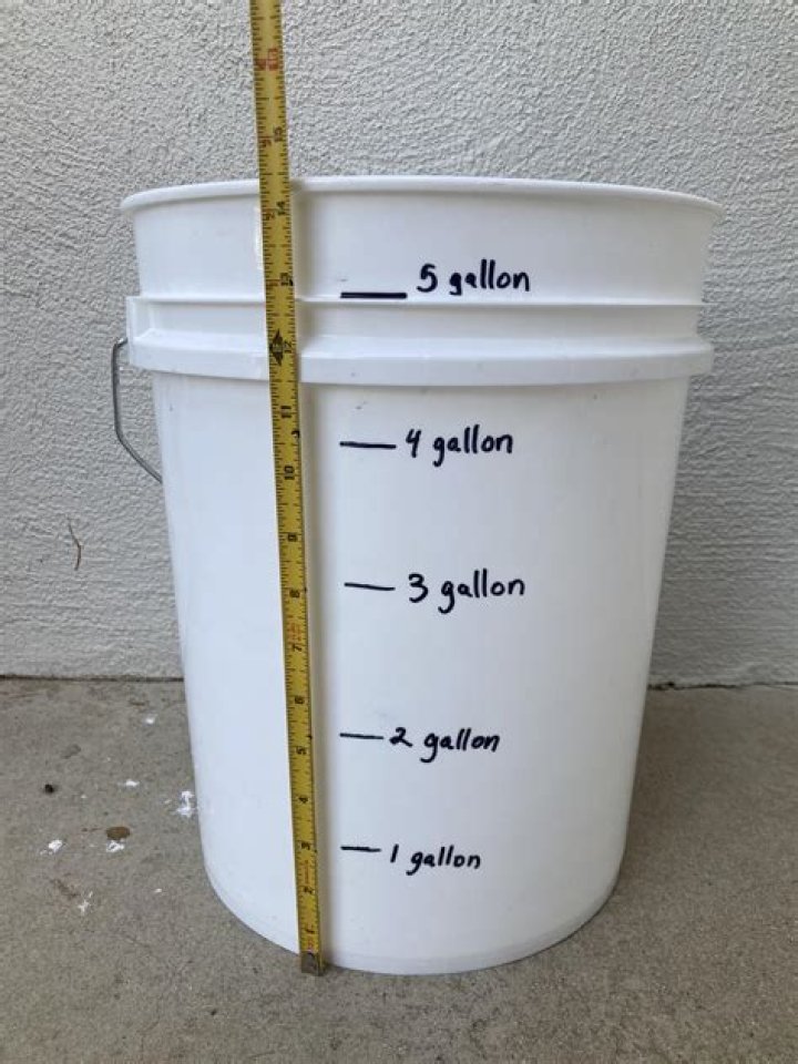 How much would a 5 gallon bucket of gold weigh?