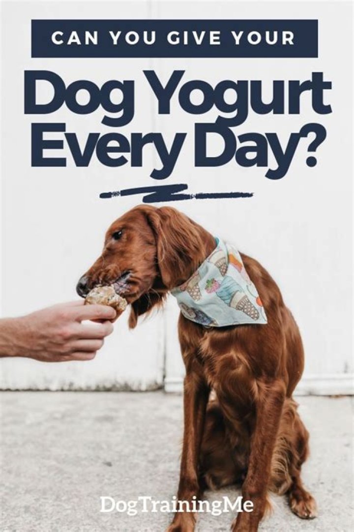 How much yogurt can I give my dog?