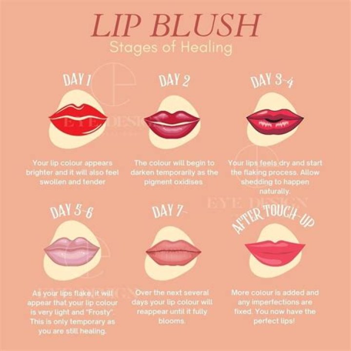 How often do you need to touch up lip blushing?