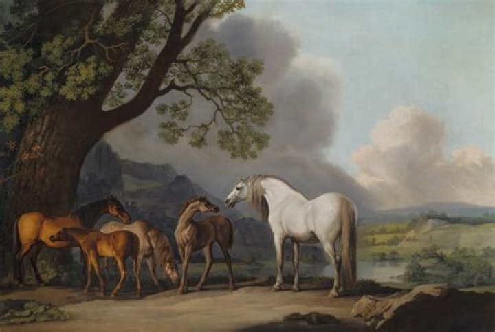 How old can mares have foals?