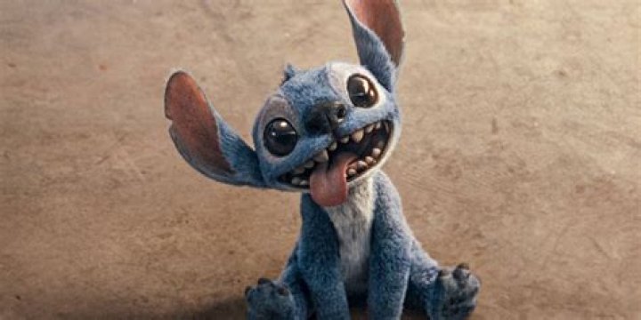 How old is stitch beatbox?
