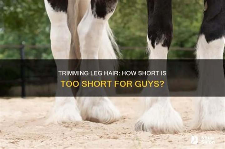 How short is too short for guys?