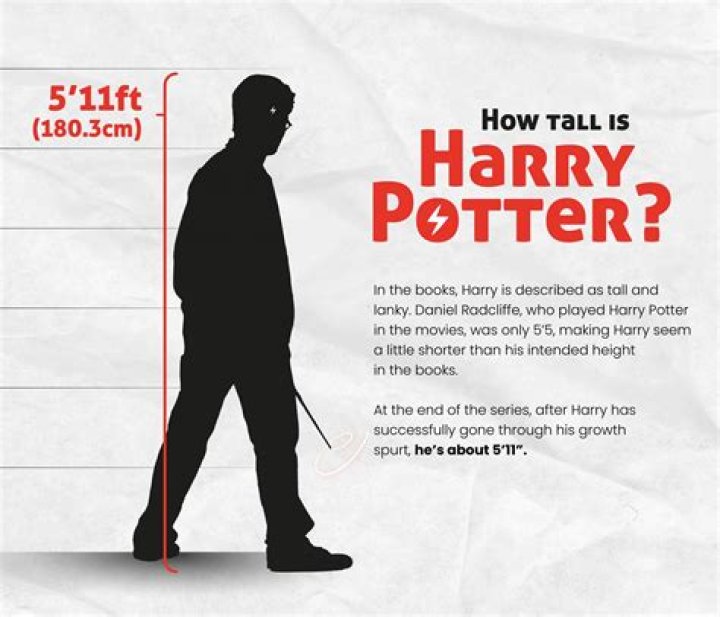 How tall is Harry from to hot to handle?