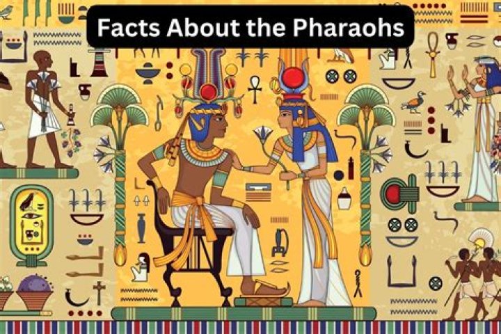 How tall is pharaoh?