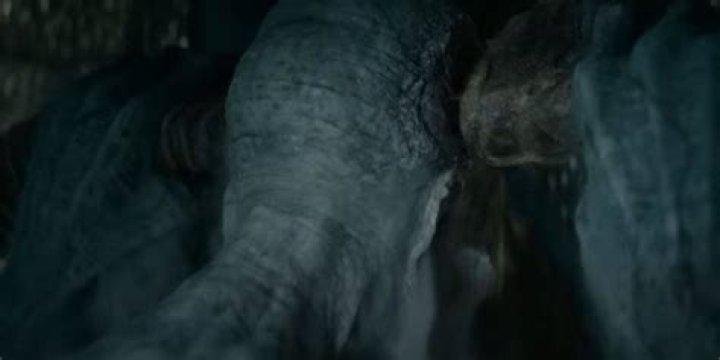 How tall was the average Saxon?