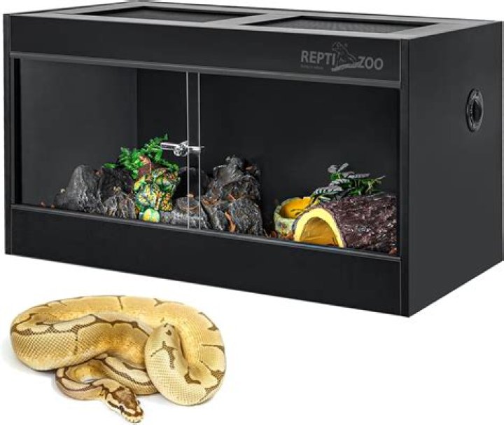 Is a 20-gallon long good for a hamster?