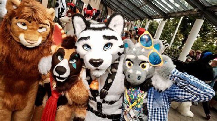 Is a furry convention?
