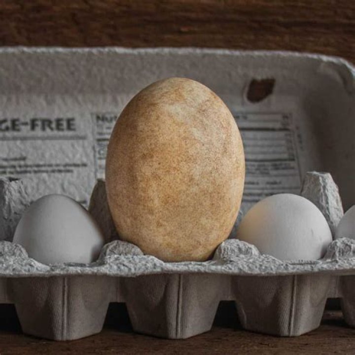 Is a goose egg a concussion?
