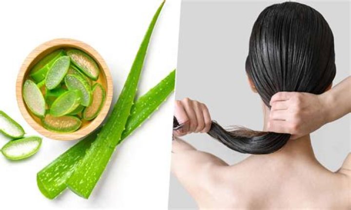 Is aloe vera good for hair fall?